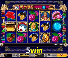 5win Rio de Janeiro - Bonus Terms